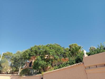 出租小屋Benajarafe - 235