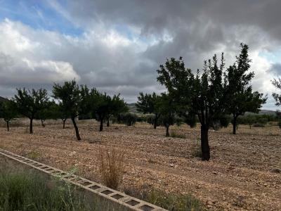 Tomt till salu i Orihuela Pueblo - 89046-112336382 Tomt till salu i Orihuela Pueblo - 89046-112336382