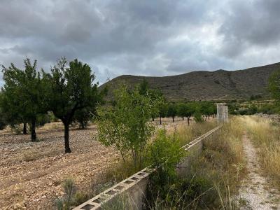 Tomt till salu i Orihuela Pueblo - 89046-112336382 Tomt till salu i Orihuela Pueblo - 89046-112336382