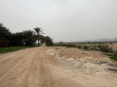 Parzelle zum verkauf in Crevillent - BG2618