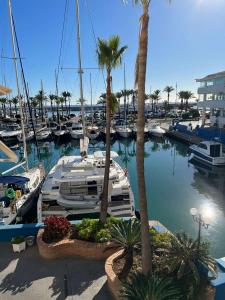 Appartement à vendre à Solymar - Puerto Marina - 3338 Appartement à vendre à Solymar - Puerto Marina - 3338