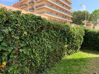 Апартаменты в аренду в La Carihuela - Los Nidos - 331 Апартаменты в аренду в La Carihuela - Los Nidos - 331