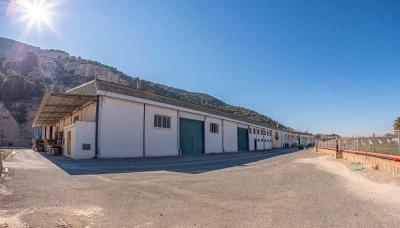 Halle zum verkauf in Desamparados-Hurchillo-Torremendo, Orihuela - MocadiT-0005 Halle zum verkauf in Desamparados-Hurchillo-Torremendo, Orihuela - MocadiT-0005