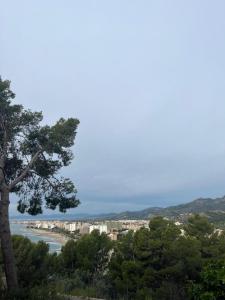 Torre Bellver - La Renegá - Les Platgete'S القطعة: للبيع - MocadiCA-0003 Torre Bellver - La Renegá - Les Platgete'S القطعة: للبيع - MocadiCA-0003