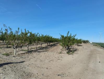 Plot for sale in Totana - HABI-299 Plot for sale in Totana - HABI-299