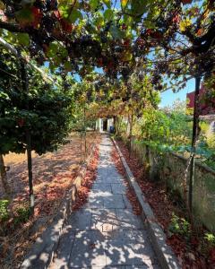 Chalet for sale in Monforte de Lemos - CHA0013