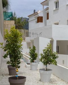 出售地板Torreblanca Del Sol - 12286