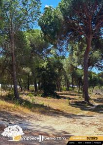 Country property for sale in Lucena del Puerto - LU-01 Country property for sale in Lucena del Puerto - LU-01