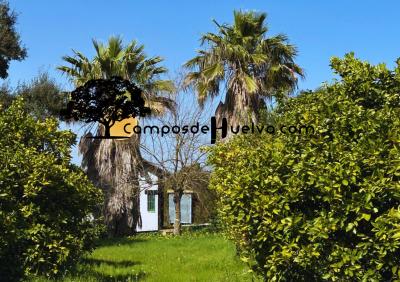 Country property for sale in Almonte - AL-01 Country property for sale in Almonte - AL-01