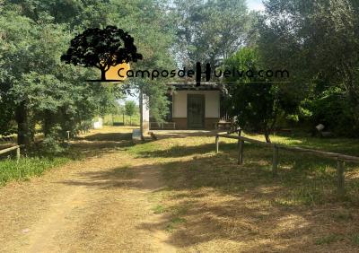 Country property for sale in Almonte - AL-03 Country property for sale in Almonte - AL-03