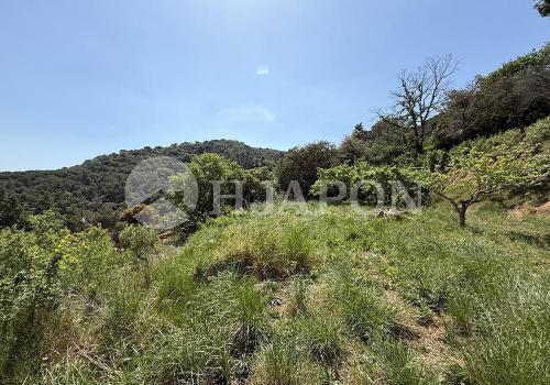 Plot for sale in Vallromanes - 01833