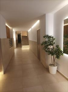 Piso en alquiler en Centro-Sagrario - 39222