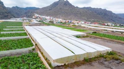 Tomt till salu i Bajamar-Punta del Hidalgo - 0067-04245 Tomt till salu i Bajamar-Punta del Hidalgo - 0067-04245