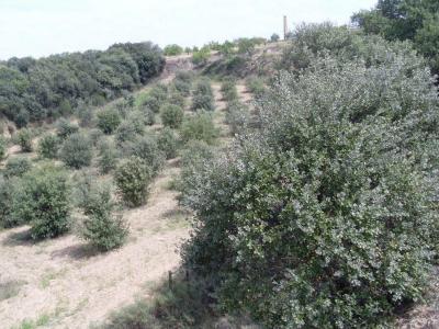 Solar en venta en Barbastro - CREG-50 Solar en venta en Barbastro - CREG-50