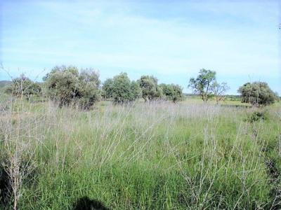 Plot for sale in Fonz - 2872285