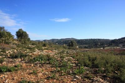 Building-site for sale in Alicante - xpg001641 Building-site for sale in Alicante - xpg001641