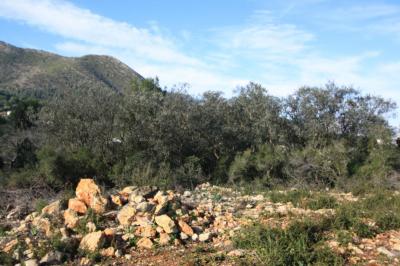 Building-site for sale in Alicante - xpg001641 Building-site for sale in Alicante - xpg001641