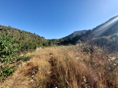 Building-site for sale in Alicante - xpg001252 Building-site for sale in Alicante - xpg001252