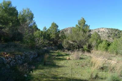 Building-site for sale in Alicante - xpg001045 Building-site for sale in Alicante - xpg001045