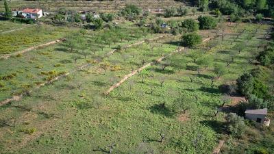 Building-site for sale in Alicante - xpg001355 Building-site for sale in Alicante - xpg001355