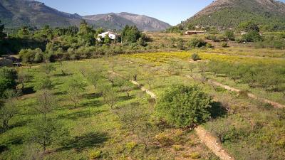 Building-site for sale in Alicante - xpg001355 Building-site for sale in Alicante - xpg001355