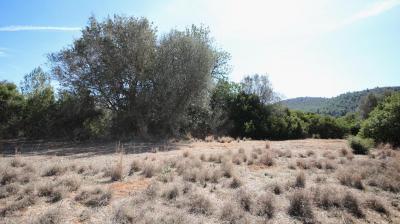 Building-site for sale in Alicante - xj2048 Building-site for sale in Alicante - xj2048