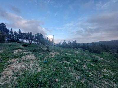 Villa till salu i San Martín del Tesorillo, Jimena de la Frontera - CLDA-17027 Villa till salu i San Martín del Tesorillo, Jimena de la Frontera - CLDA-17027