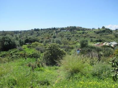 Villa for sale in Estepona - CLDA-29857