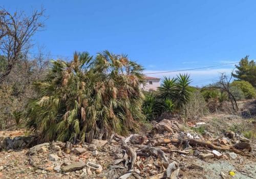 Solar en venta en Dénia - xden8191 Solar en venta en Dénia - xden8191