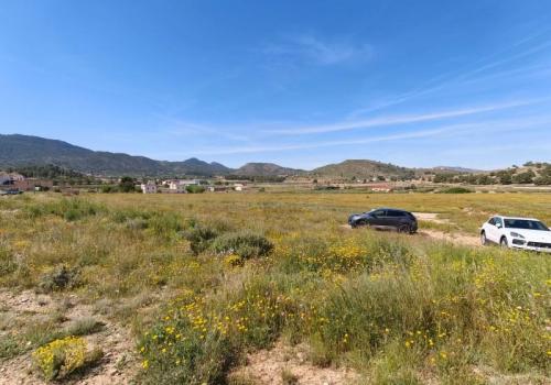 Solar en venta en Hondón de las Nieves - CLDJ-38367 Solar en venta en Hondón de las Nieves - CLDJ-38367