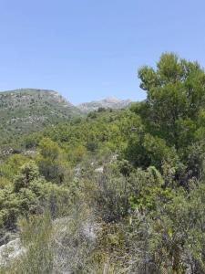 Parzelle zum verkauf in Avda Pescia - Ctra de Frigiliana, Nerja - JA6677 Parzelle zum verkauf in Avda Pescia - Ctra de Frigiliana, Nerja - JA6677