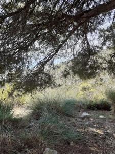 Parzelle zum verkauf in Avda Pescia - Ctra de Frigiliana, Nerja - JA6677 Parzelle zum verkauf in Avda Pescia - Ctra de Frigiliana, Nerja - JA6677