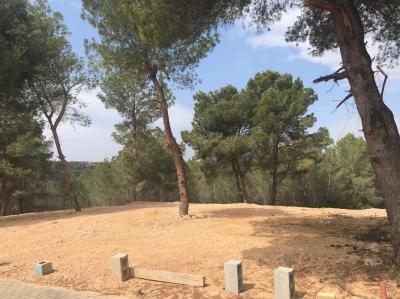 Benimeit-Tabaira القطعة: للبيع - MT.G-176 Benimeit-Tabaira القطعة: للبيع - MT.G-176