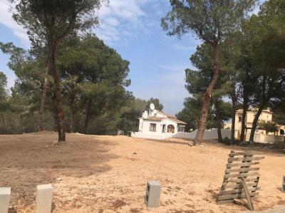 Benimeit-Tabaira القطعة: للبيع - MT.G-175 Benimeit-Tabaira القطعة: للبيع - MT.G-175