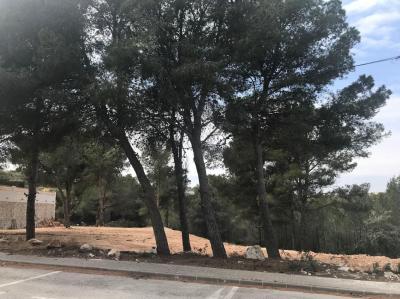Benimeit-Tabaira القطعة: للبيع - MT.G-175 Benimeit-Tabaira القطعة: للبيع - MT.G-175