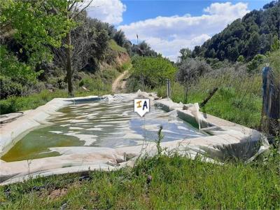 Perceel te koop in Montefrío - PL264 Perceel te koop in Montefrío - PL264