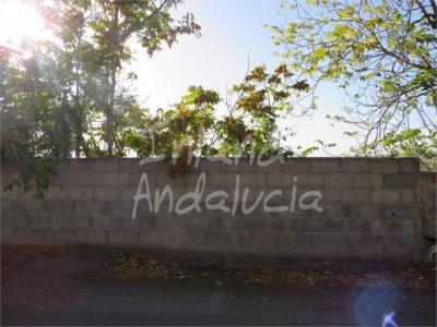 Plot for sale in Bobadilla de Alcaudete - PL319