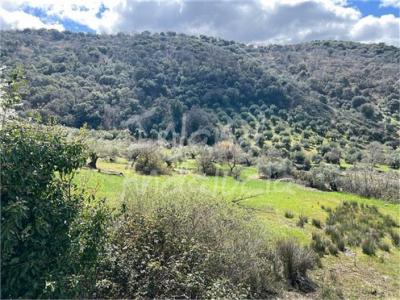 Country property for sale in Valdepeñas de Jaén - FI316