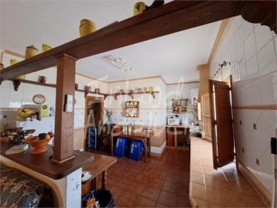 Усадьба на продажу в Norte - Barrio del Pilar - El Reñidero - FI319 Усадьба на продажу в Norte - Barrio del Pilar - El Reñidero - FI319
