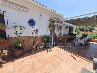 Villa till salu i Alcaucín - CJ976 Villa till salu i Alcaucín - CJ976