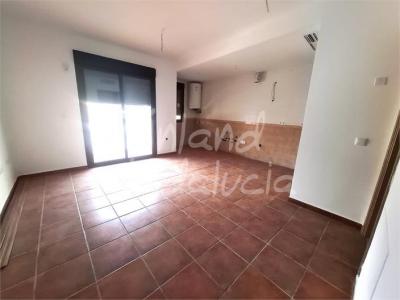 Apartment for sale in Alcaucín - AP506
