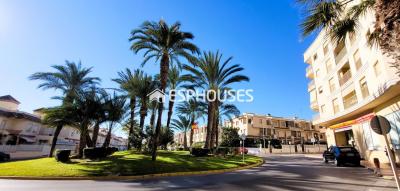 Halle zum verkauf in Guardamar Playa, Guardamar del Segura - GUAR1059 Halle zum verkauf in Guardamar Playa, Guardamar del Segura - GUAR1059