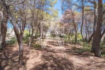 Moraira القطعة: للبيع - PMR0043 Moraira القطعة: للبيع - PMR0043