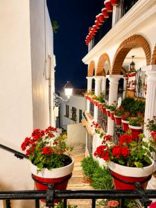 Студия в аренду в Mijas Golf - 15554962 Студия в аренду в Mijas Golf - 15554962
