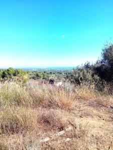 Plot for sale in Riudecanyes - 9357