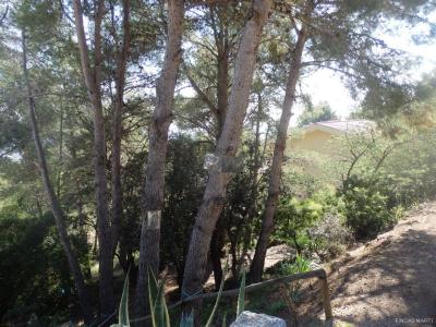 Plot for sale in Riudecanyes - 7604