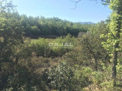 Plot for sale in Fresno de Cantespino - 1027 Plot for sale in Fresno de Cantespino - 1027