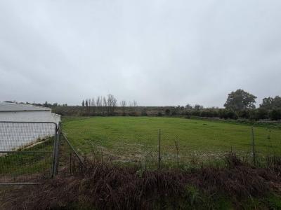 Plot for sale in Andújar - 6857