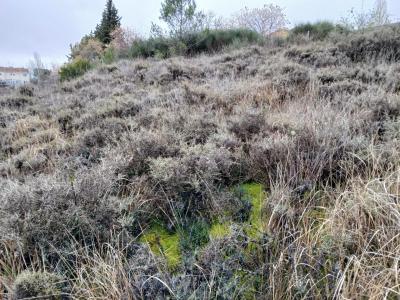 Plot for sale in Trijueque - PR99559255