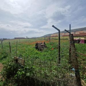 Plot for sale in Los Yébenes - 120910291